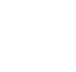 new homes icon