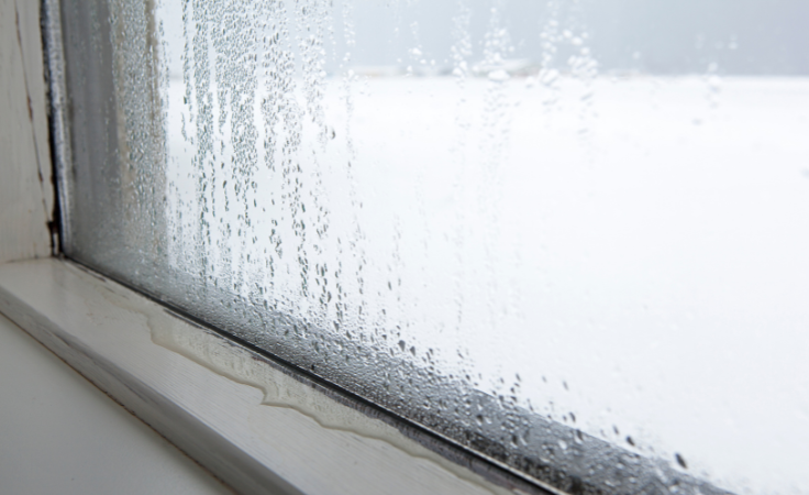condensation and black mould on internal window